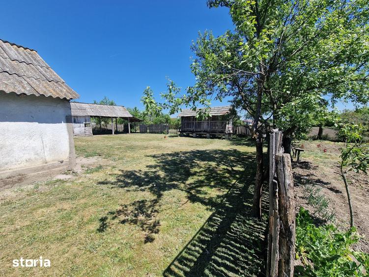 Casă cu 6 camere cu Teren 4780 Mp în Homorog