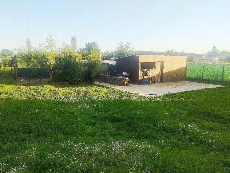 Teren de 2000 mp, în Curtișoara