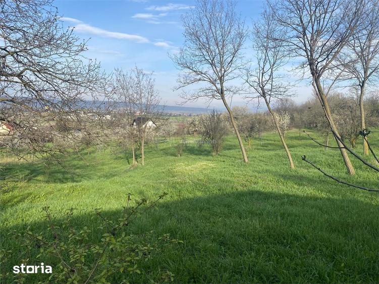 Teren de 6000 mp, în Boldești