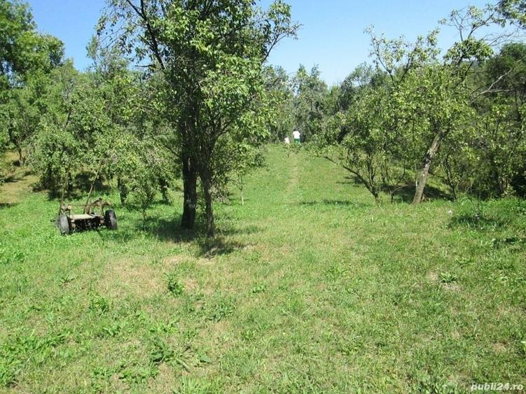 Teren de 4000 mp, în Drăgăneasa