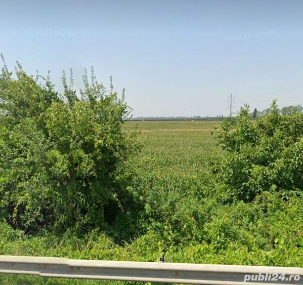 Teren de 5000 mp, în Berceni