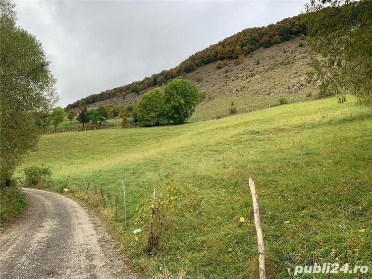 Teren de 5317 mp, în Șirnea