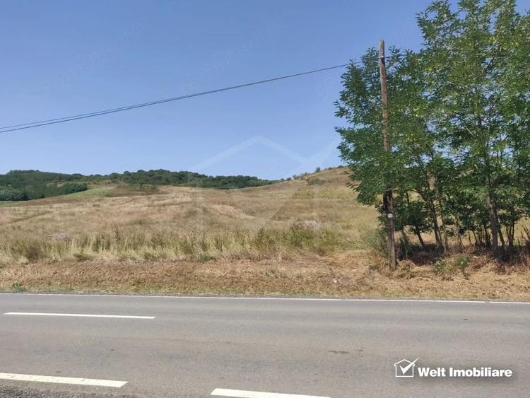Teren de 11400 mp, în Corpadea