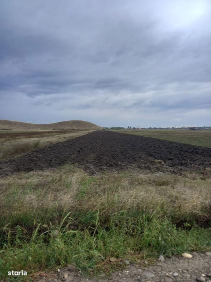Teren de 7500 mp, în Mărăcineni