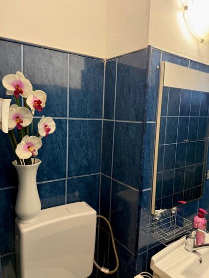 Apartament 2 camere de inchiriat - 7
