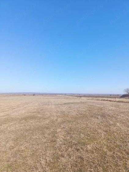Teren de 10000 mp, în Golăiești
