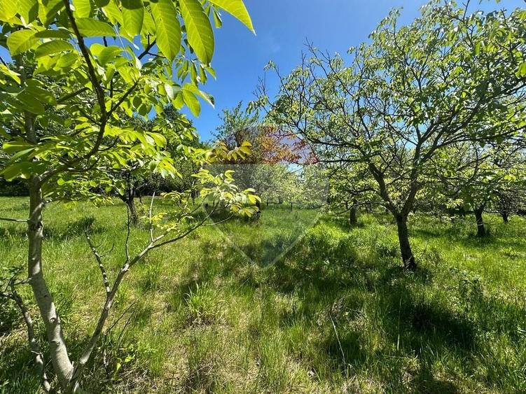 Teren agricol extravilan de 1991 mp, în Independenței