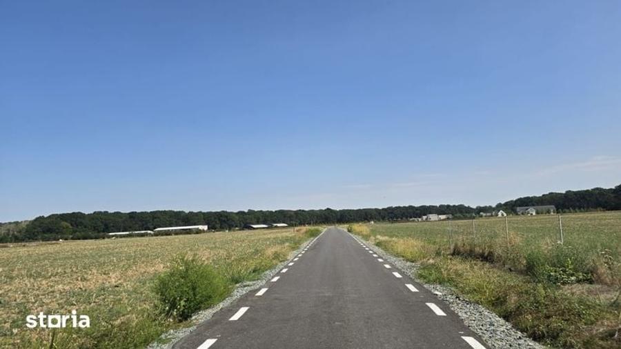 Teren de 12184 mp, în Ciolpani