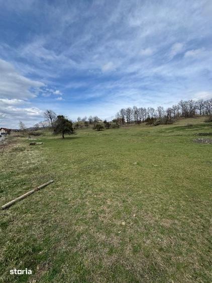 Teren intravilan 1.17ha cu panorama superba si PUZ aprobat Baia Sp - 4