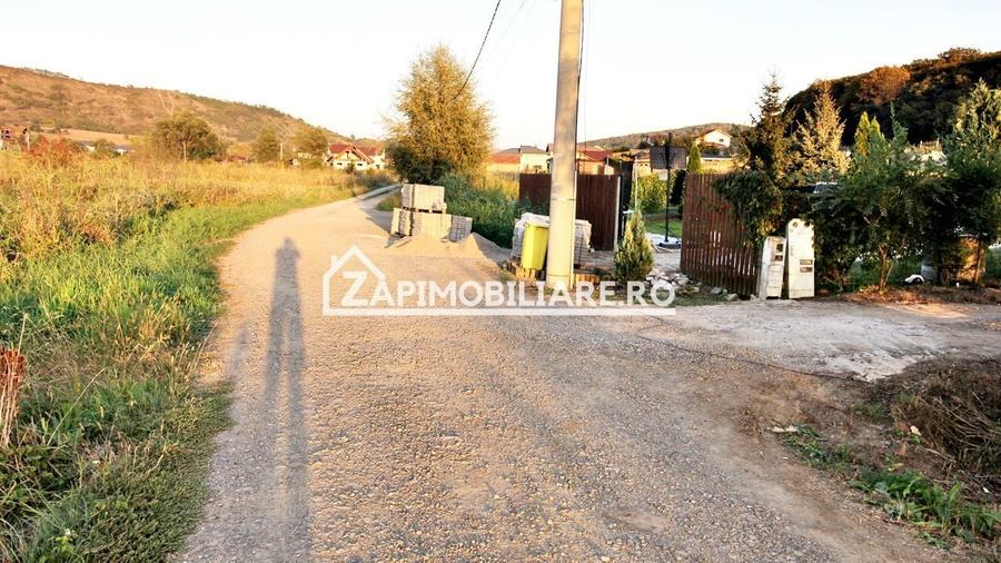 Teren Construcții extravilan de 29759 mp, în Livezeni
