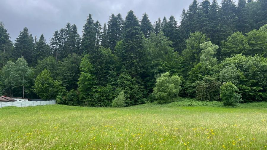 Teren de vanzare, Voronet, Suceava - 5