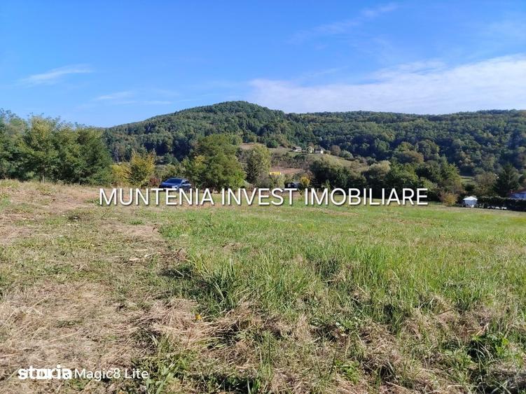 Teren de 5596 mp, în Bradu