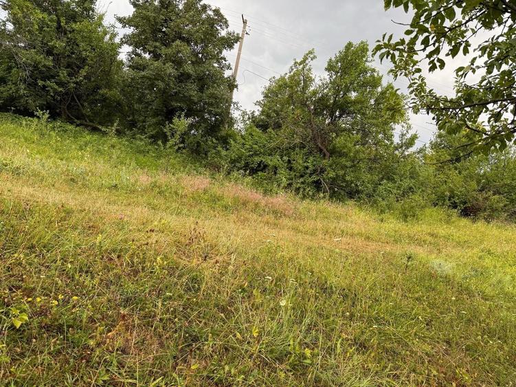 Teren de 2600 mp, în Drajna