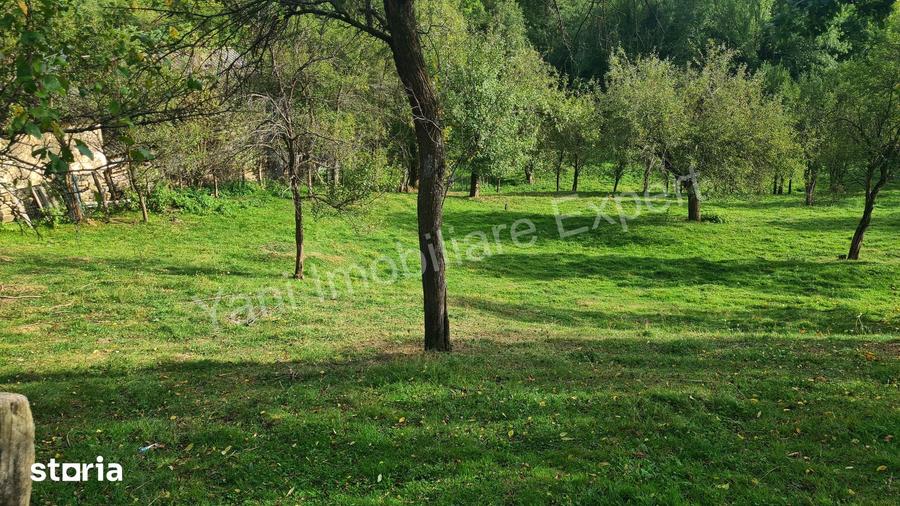 Teren de 2491 mp, în Arefu