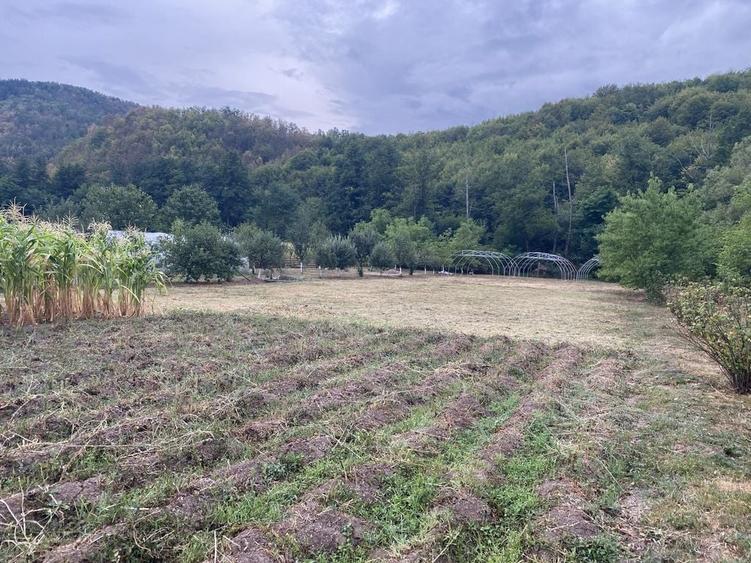 Casă cu 4 camere în Lunca