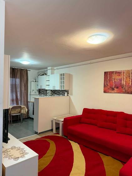 Apartament cu 2 camere în Roșu