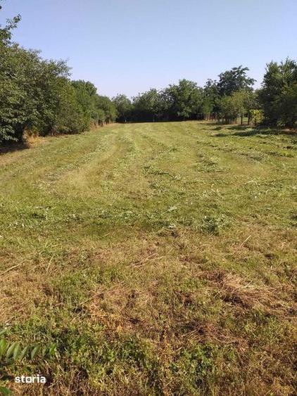 Teren de 1375 mp, în Ciolpani