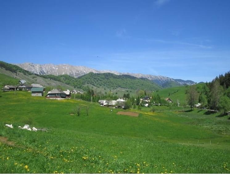 Teren Construcții intravilan de 1500 mp, în Șirnea