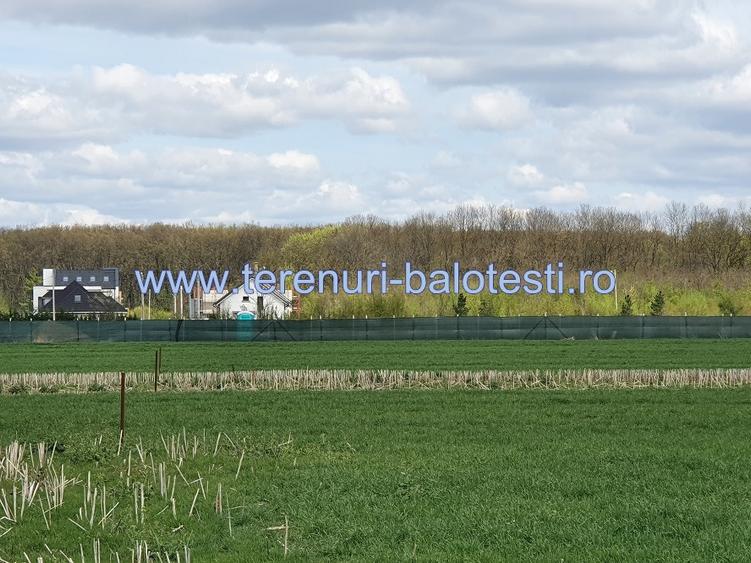 Teren langa padure si aproape utilitati,800 mp,36000 euro - 10
