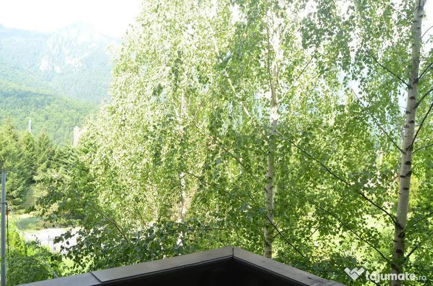 Apartament cu 2 camere decomandat în Piatra Arsă