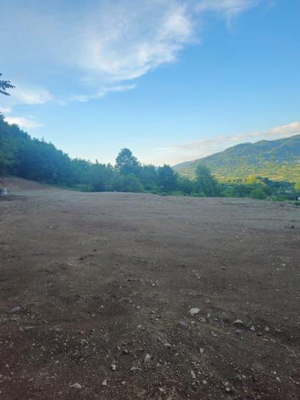Teren Construcții intravilan de 10000 mp, în Bistrița Bârgăului
