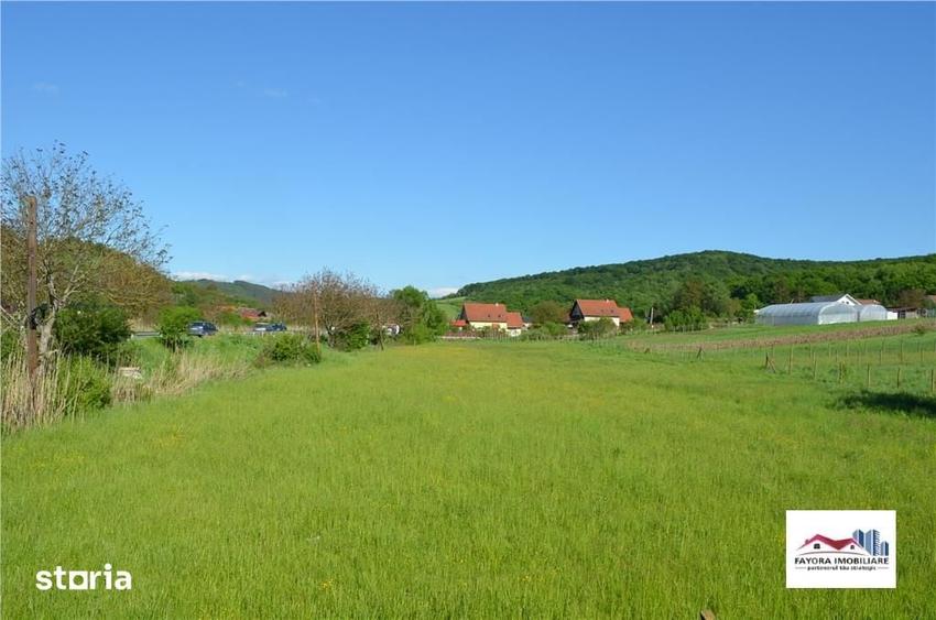 Teren de 6382 mp, în Livezeni