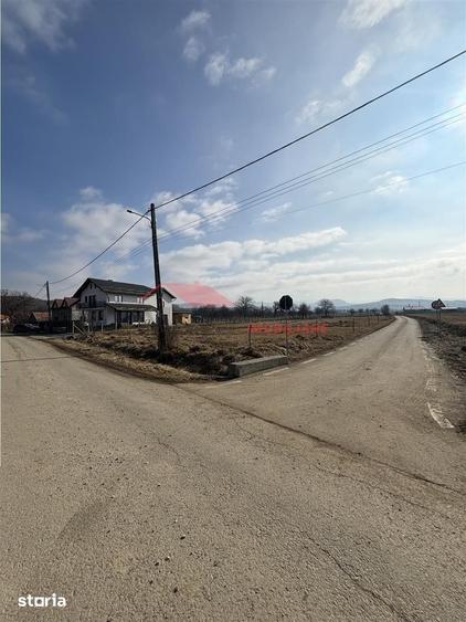 Teren de 1700 mp, în Livezile