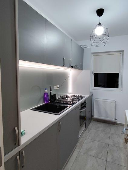 Inchiriere apartament 2 camere Dobroiesti - 4