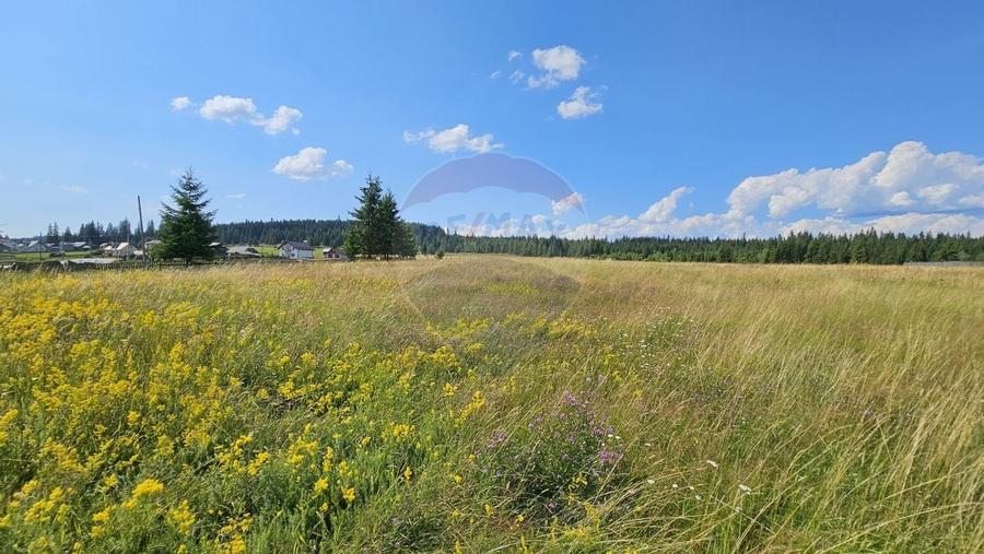 Teren Construcții intravilan de 30930 mp, în Poiana Stampei