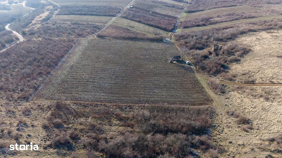 Teren de 6800 mp, în Covăsinț