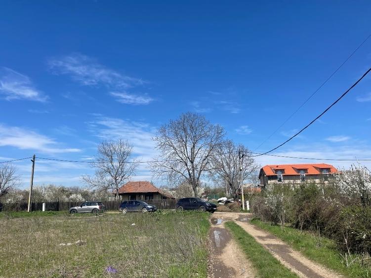 Teren Construcții intravilan de 800 mp, în Runcu