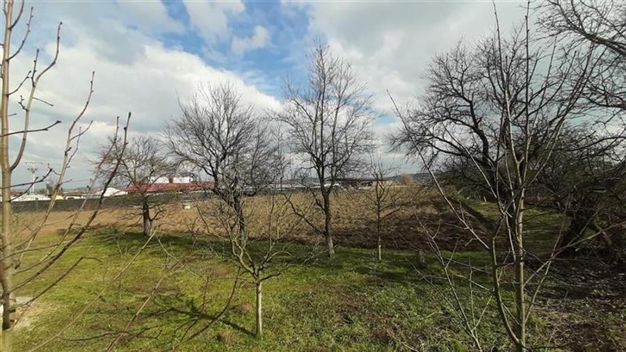 Teren Construcții intravilan de 11200 mp, în Nazna