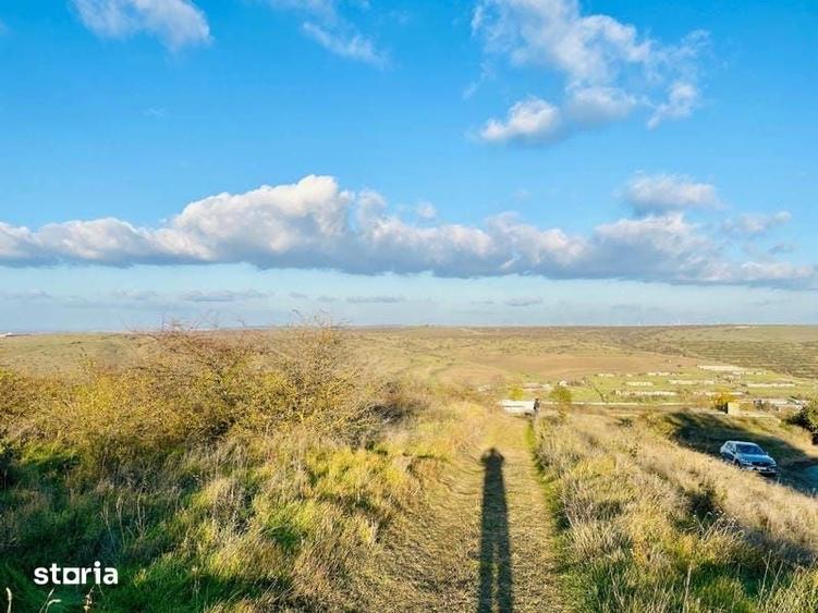RASOVA Cochirleni Teren extravilan 38 Hectare comasat 100% - 4