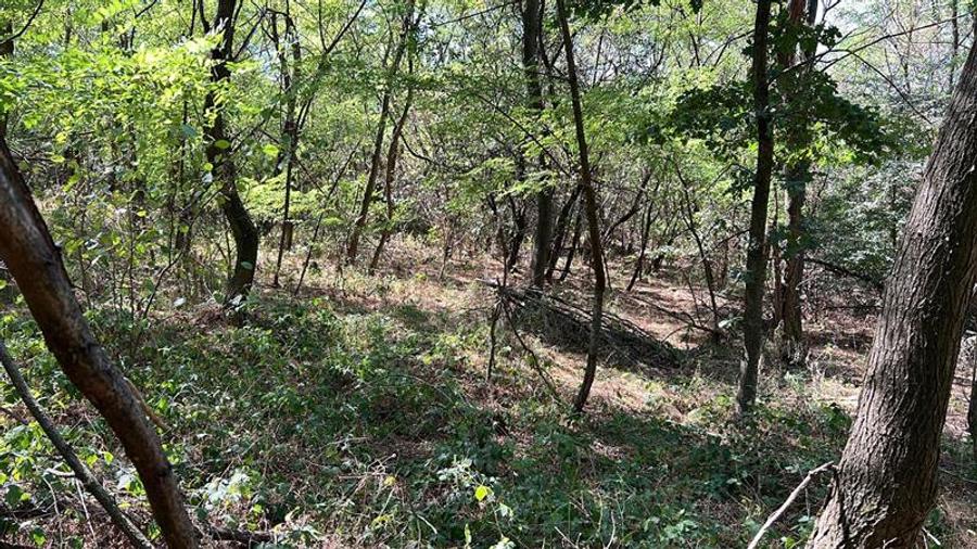 Teren extravilan de 3600 mp, în Bradu