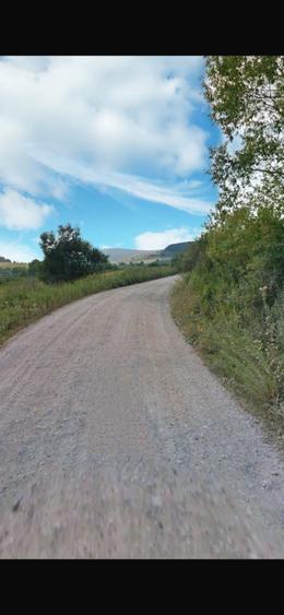 Teren agricol extravilan de 28000 mp, în Șoarș