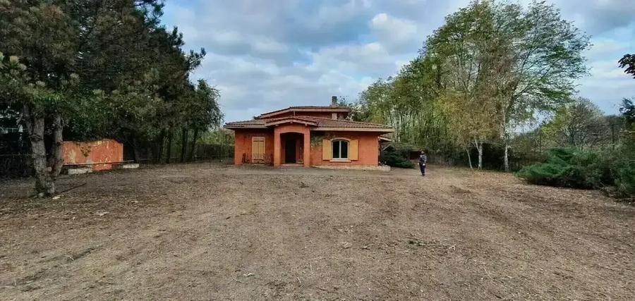 Vilă cu deschidere la Lacul Snagov  | Piscină - 1