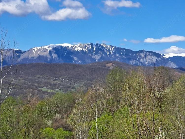 Teren de 3600 mp, în Central