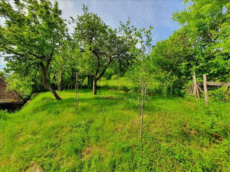 Casă cu 5 camere cu Teren 300 Mp în Rod