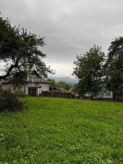 Spațiu comercial, în Hoteni