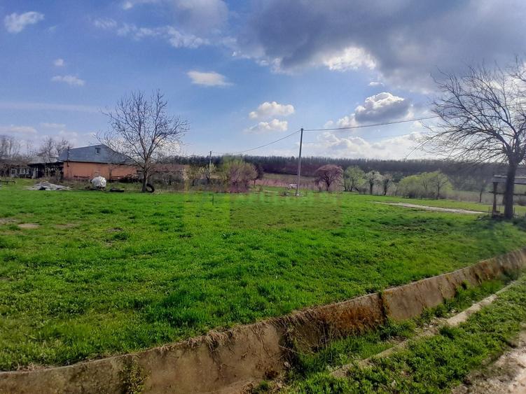 Teren Construcții intravilan de 3400 mp, în Buturugeni