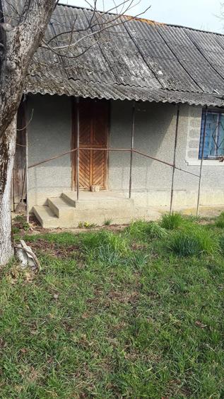 Teren de 3000 mp, în Dumbrăvița