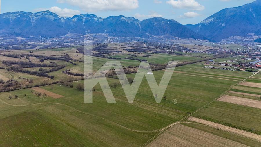 Teren agricol intravilan de 1570 mp, în Zărnești