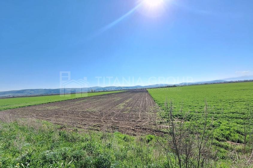 Teren agricol extravilan de 8700 mp, în Bod