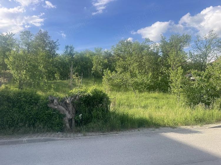 Teren de 3900 mp, în Central