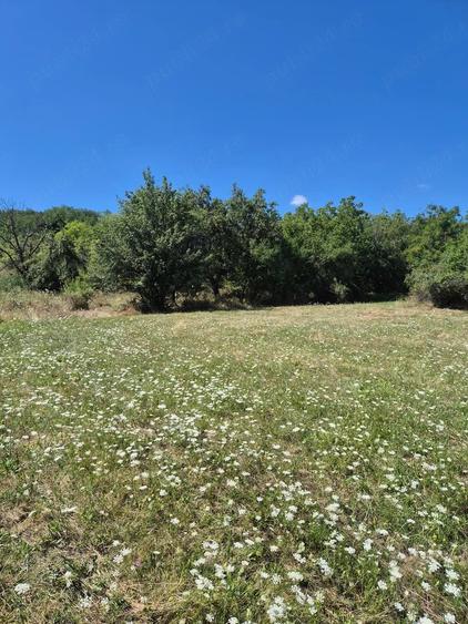 Teren de 5805 mp, în Ciofrângeni
