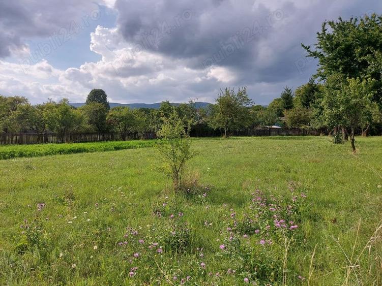 Teren de 2900 mp, în Estelnic