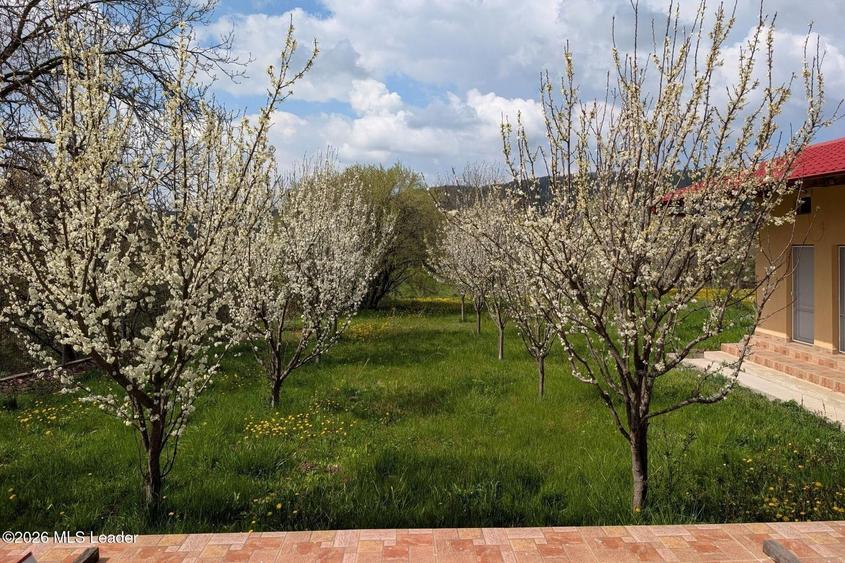 Casă individuală cu 8 camere cu Canalizare în Bălilești