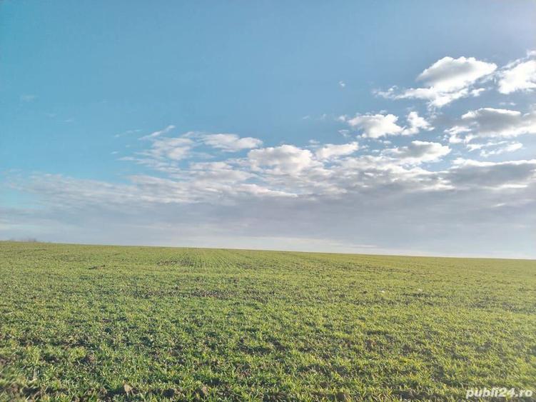 Teren de 1056 mp, în Sinești