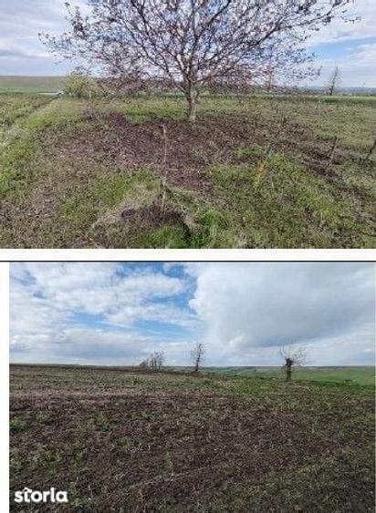 Teren cota parte 3/16, Sipote, ID: R3070063 - 4