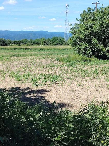 Teren de 3400 mp, în Jupa